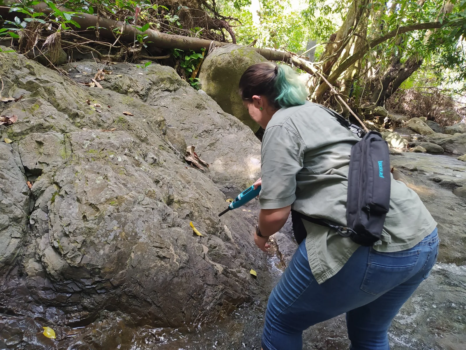 Abigail leaning over a large boulder in a forested stream, working on the rock surface with a field tool