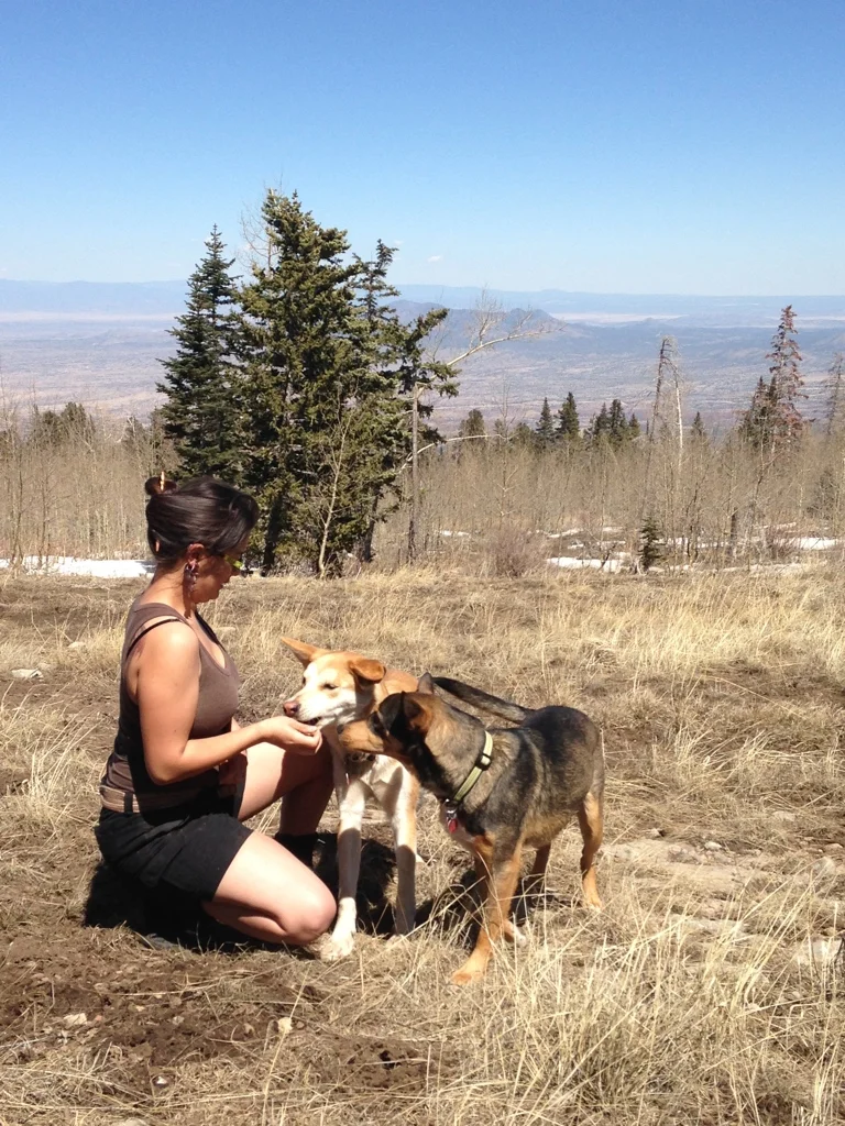 Abigail kneeling in a mountain meadow, greeting Moya the husky and Guinness the German shepherd
